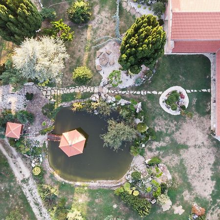 Villa Garden 佐洛埃格塞格 外观 照片